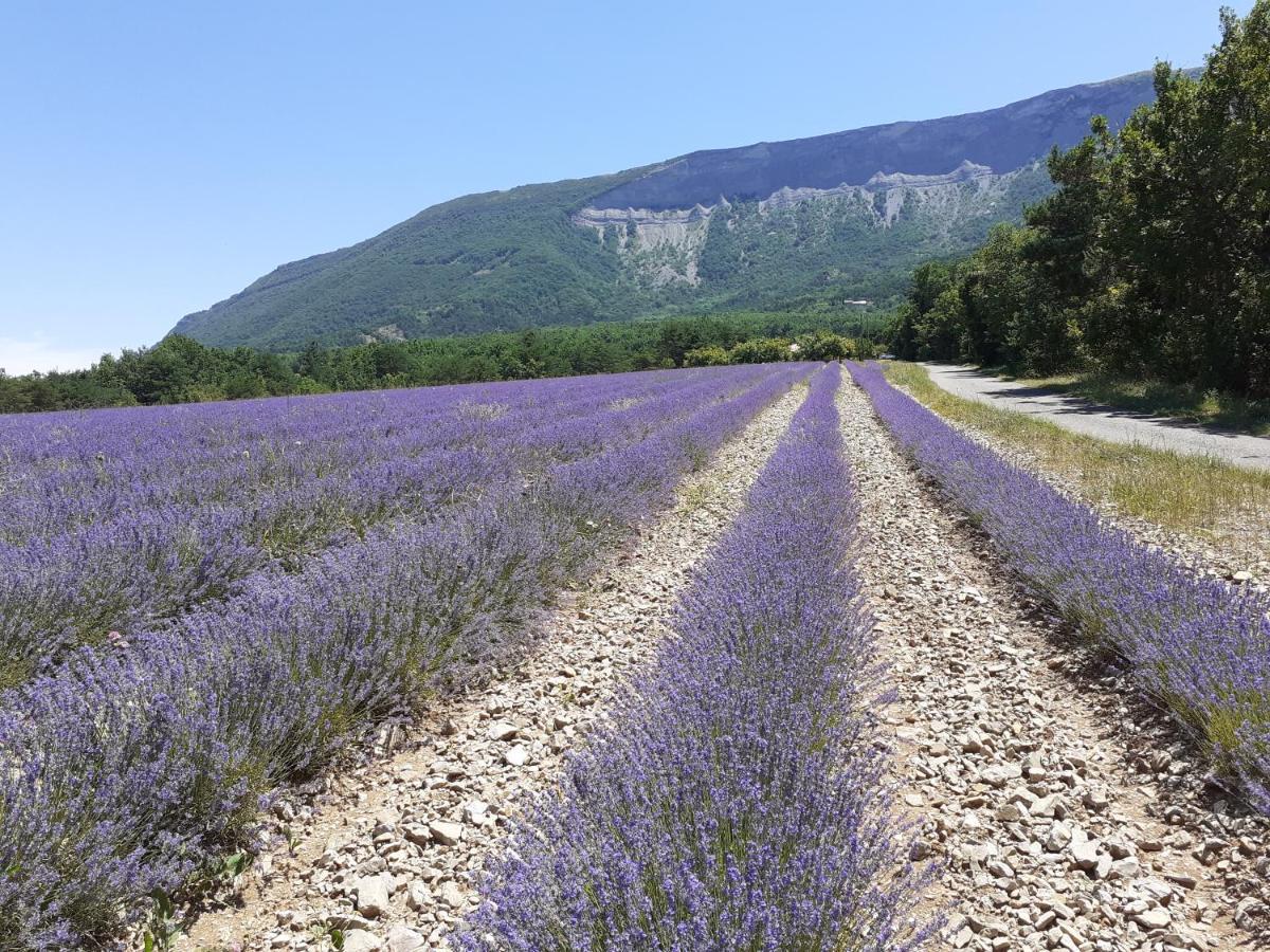 Rose Des Alpes Bed & Breakfast แซร์ ภายนอก รูปภาพ